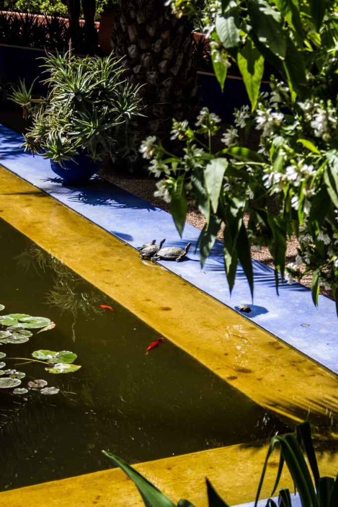 Yves Saint Laurent dodał do barw ogrodu słoneczną żółć. Fot. Anka Florczak