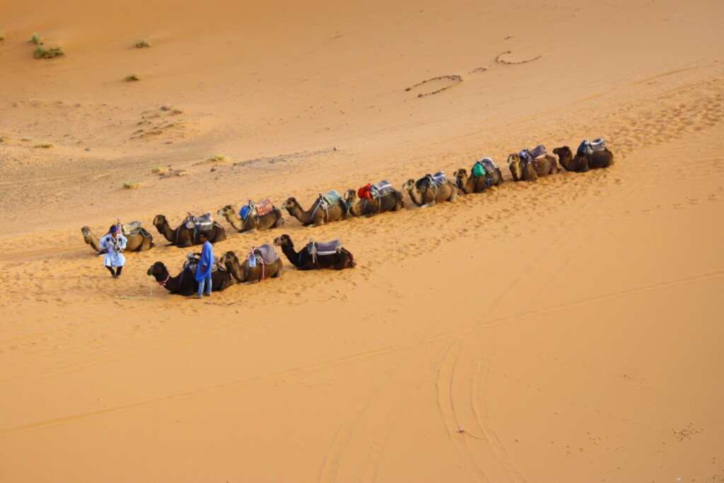 Sahara obejmuje swym zasięgiem 14 pustyń: Al-Dżuf, Erg Szasz, Erg Ikidi, Wielki Erg Wschodni, Wielki Erg Zachodni, Tadmait, Tanizruft, Hamada al-Hamra, Ahaggar, Tibesti, Tenere, Libijska, Bajuda, Arabska.