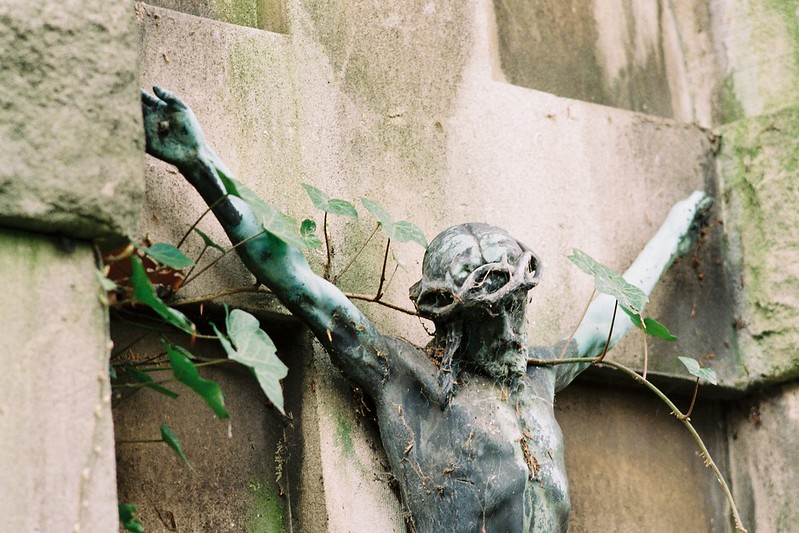 Chrześcijaństwo przejęło bluszczową symbolikę. Fot. Juliett-Foxtrott / Flickr