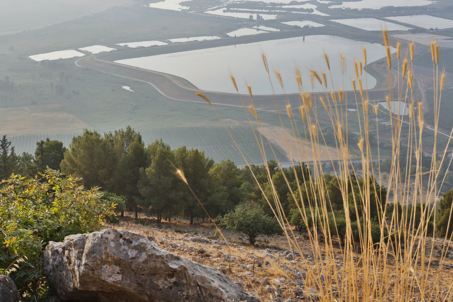 Widok na dolinę, fot. Israel_photo_gallery / Flickr, 