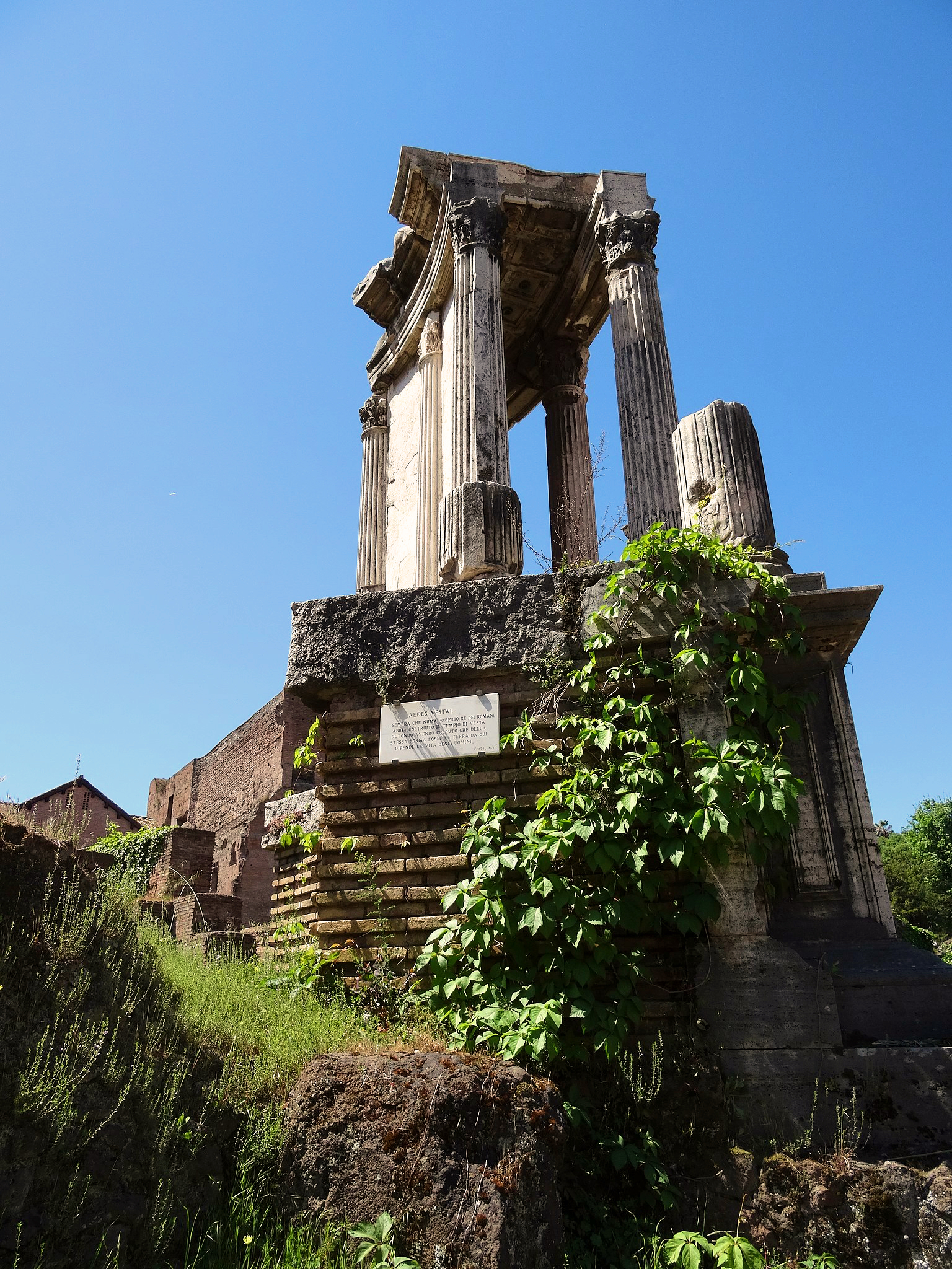 Świątynia Westy na Forum Romanum
