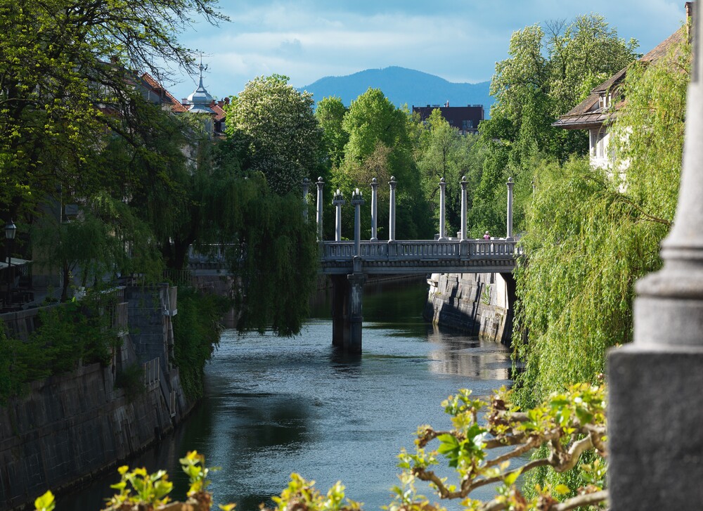 Most Szewski, fot. Matevž Paternoster, Copyright: © Museum and Galleries of Ljubljana