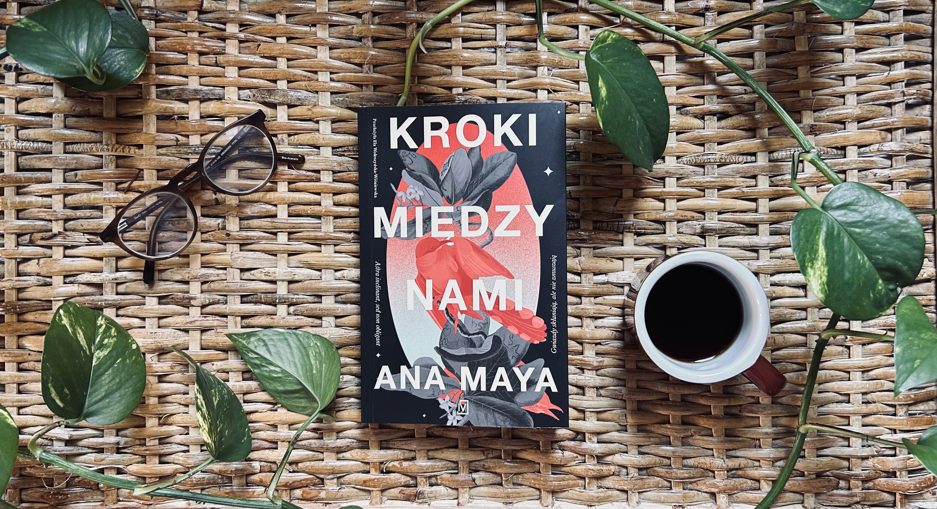 Kroki między nami – nowa powieść pełna tajemnic. Kim jest Ana Maya?