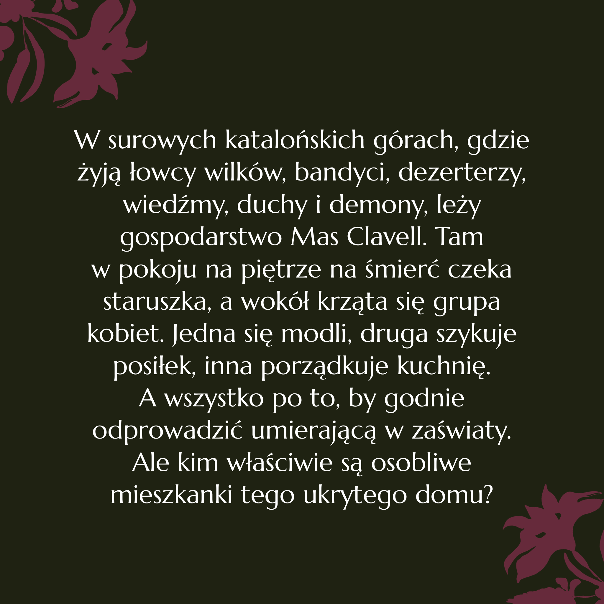 Dałem ci oczy, a ty spojrzałaś w ciemność. Irene Solà i realizm magiczny w europejskim wydaniu