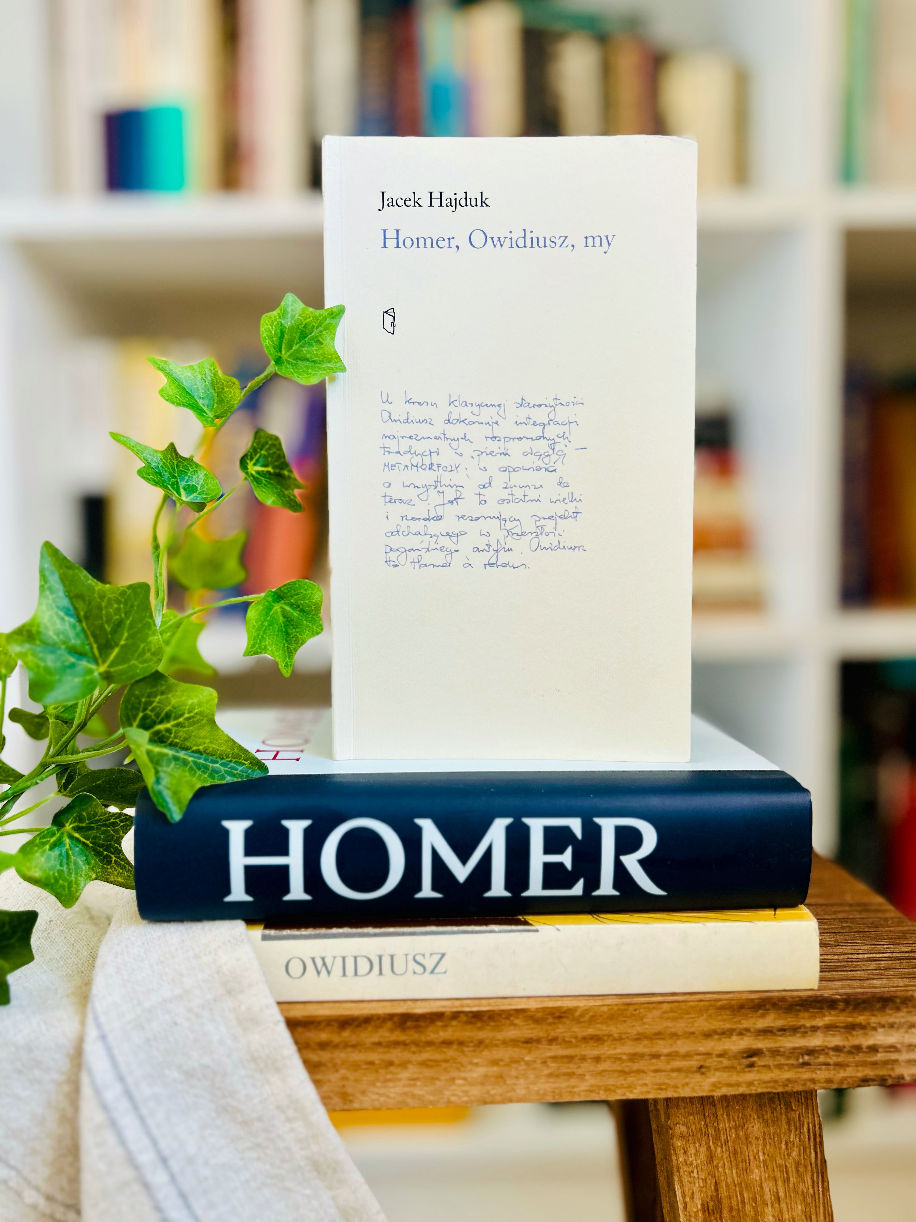 Jacka Hajduka Homer, Owidiusz, my. Esej o antyku i czytaniu