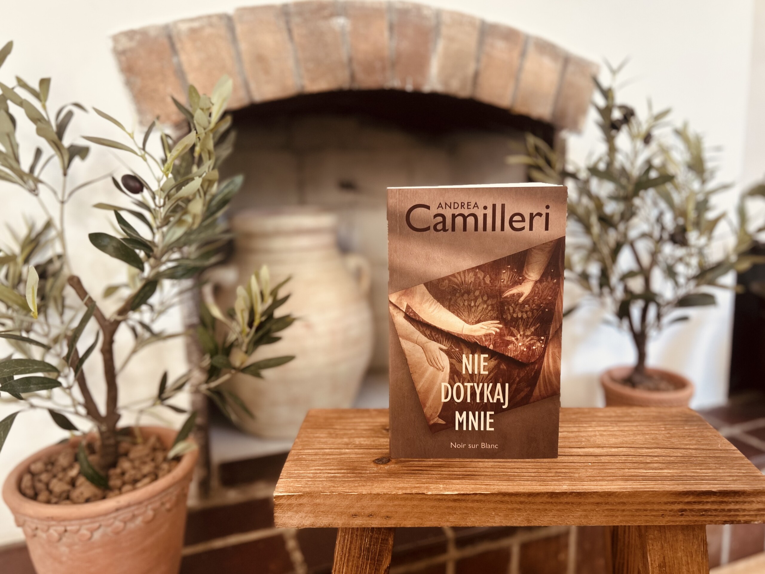 Nie dotykaj mnie Andrei Camilleriego. Kryminał o prawdzie, pożądaniu i granicach poznania